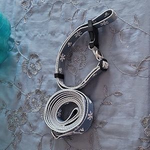 Unbranded Dog Leash and Harness